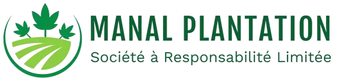 MANALPLANTATION